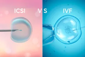 IVF/ICSI